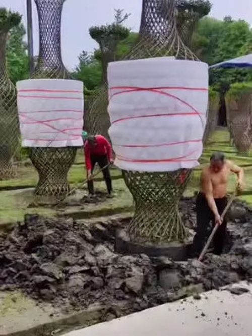 巨無(wú)霸紫薇造型樹(shù)震撼登場(chǎng)，金牌苗木人誠(chéng)信供應(yīng)精品綠化苗木